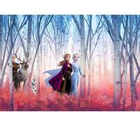 Disney Bambina Camera da Letto Carta Foto Parati Frozen Elsa Anna Olaf 368x254cm