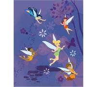 Disney Fairies FE-KFZ-540 - Coperta per auto