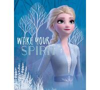 Disney Frozen Film Poster 40x50 CM 40.6x50.8cm Nuovo Wake Your Spirit Elsa