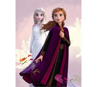 Disney Frozen Morbido Pile Coperta Pastello Viola