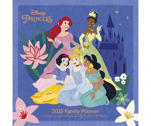 Disney princess 2025 family planner 30 x 30 cm pyramid