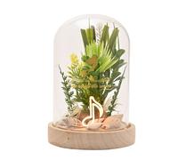 Disney Princess Ariel Florals In A Clonche Con Neon Light Widdop & Co