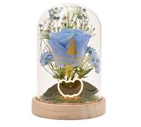 Disney Princess Cinderella Florals In A Clonche Con Neon Light Widdop & Co