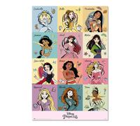 Disney Princess poster Erik