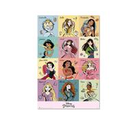 Disney Princess poster Erik