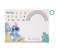Disney Stitch Blue Teal Lime Pink e White One Tarone Soperbory ??Photo Op Milestone Baby Coperta
