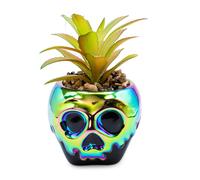 Disney Villains Veleno Apple Mini Ceramica Fioriera Con Artificiale Succulente