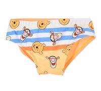 Disney Winnie The Pooh Bimbo Costume da Bagno Slip (Giallo,3 Anni)