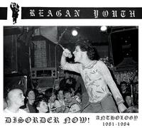 Reagan Youth Disorder Now: Anthology 1981-1984 (Cassette)