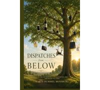 Dispatches from Below: A Novel of Choices, Consequences, And The Heart We Hide
