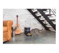 Petsafe Mangiatoia Automatica Petsafe Nero Acciaio Inossidabile S_0301_S7140214