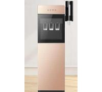 Dispenser di Refrigeratore d'Acqua A Caricamento Inferiore Dispenser 3 in 1 Dispenser di Refrigeratore d'Acqua Calda E Fredda con Portabicchieri, Titanium Gold, 98x31.2x29CM