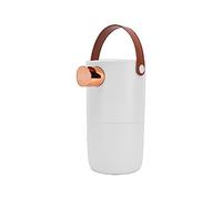 Dispenser Istantaneo For Acqua Potabile Desktop Mini Scaldabagno Rapido For Calda Macchina Da Bar For Tè Bollitore Portatile For Viaggio,Risparmio di Tempo