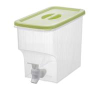 Dispenser per bevande con rubinetto a prova di perdite, dispenser di acqua calda e fredda/succhi da 3,9 l, per frigorifero, cocktail, birra, contenitore per bevande per casa, pub party (verde menta)