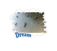 Disperse Goose Adesivi Citazione Sogno Decalcomanie in Vinile