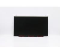 DISPLAY AUO 17 3 FHD IPS AG NEW