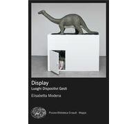 Display. Luoghi, dispositivi, gesti