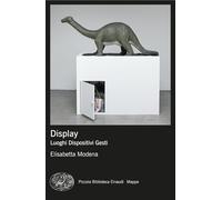 Display. Luoghi, dispositivi, gesti