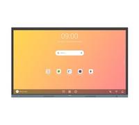 Display professionale 65" 4K 2160p UHD BOARD ESSENTIAL Re6504 Gray 9H F9ETK DE4