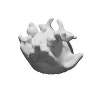 Display Sculpture inspired by Bug Face Electron Microscope Images