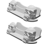 Display Stand for PCGS NGC Coin Slabs - Skull Design Collector Edition