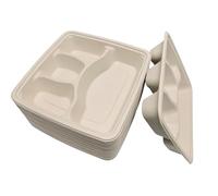 DISPOSABLE GREEN Piatti quadrati usa e getta in bagassa, piatti divisi a 4 scomparti per cibi caldi, freddi, umidi e grassi, controllo delle porzioni, 23 cm x 5 cm