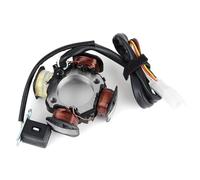 Dispositivi Accensione Moto Per AG100 Per AG 100 Per Indirizzo Per V100 1991-2000 Parti Del Motore Per Motocicletta Generatore Magneto Statore Bobina 32101-41D01 Kit Accensione Motocicletta