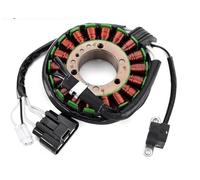 Dispositivi Accensione Moto Per RS Per Viking Per Professional Per VK100 Per VK Per Pro Per Venture Per Lite Per PZ50MP Bobina Di Accensione