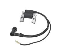 Dispositivi Accensione Per 168F 170F GX160 2KW 3KW Generatore Gas Bobina Accensione Modulo Montaggio Motore Bobina Accensione