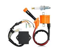 Dispositivi Di Accensione Accenditore CDI Box E Bobina Accensione Per Per Big Per Bear 350 YFM350FW 4x4 1990 1991 1992 1993 1994 3HN-85540-10-00