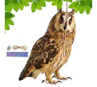 Dispositivi Per Allontanare Da Esterno - Pendente Protettore Giardino 2D Repellente Volatili | Dispositivo Spaventapasseri Finto Decorativo E Impermeabile,Spaventapasseri Gufo Finto Realistico che Tie