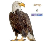 Dispositivi repellenti per uccelli da esterno, 12x8 pollici Esca realistica per falco appeso con campana e nastro riflettente Aquila selvatica per alberi Piante Protezione delle colture Repellente