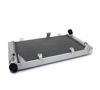 Dispositivo Di Raffreddamento Del Radiatore Motore Per CBF 1000 ABS 2006 2007 2008 2009 2010 2011 2012 19010-MFA-D01