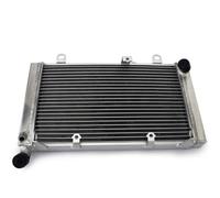 Dispositivo Di Raffreddamento Del Radiatore Motore Per CBF1000 CBF 1000 2006 2007 2008 2009 2010 19010-MFA-D01