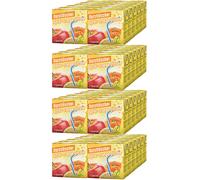 Dissetante Mela Arancione Limone Bevanda di Succo di Frutta 500ml 48er Pack