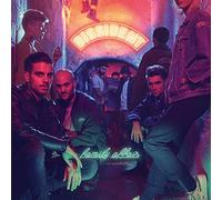 DISSIDENT - FAMILY AFFAIR -10"-