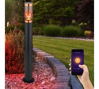 Dissuasore Piantana Luci Lampione Giardino Controllo Vocale Timer RGB LED [EEK: F]