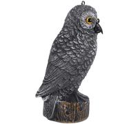 Dissuasore Uccelli Cortile Decorazione Patio