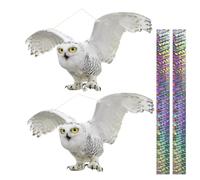 Dissuasori Per Piccioni, Gufo Scaccia Piccioni, Dissuasori Per Uccelli, Allontana Piccioni, Dissuasore Per Piccioni, Anti Piccioni Balcone, Repellente Piccioni,Cartone Piatto Scaccia Piccioni 2 Pezzi