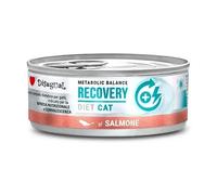 Dissugual Diet Cat Recovery Salmon 12 x 85 GR