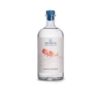 Dellavalle Grappa di Barbera "Viglianottera" 0,70 lt.