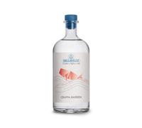 Distilleria Dellavalle - Grappa di Barbera "Viglianottera" 0,70 lt.
