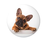 Distintivi rotondi leggeri, distintivi svegli di Pin del cane di pensare Brown, 6 cm (Diameter)
