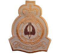 Distintivo patch ricamato 10 Squadron Desert Royal Air Force - ULTIMI POCHI