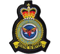 Distintivo patch ricamato Air Platform Protection Test and Evaluation...