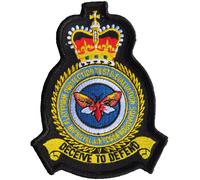 Distintivo patch ricamato Air Platform Protection Test and Evaluation Squadro...