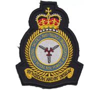 Distintivo patch ricamato RAF Central Tactics and Trials - ULTIMI POCHI