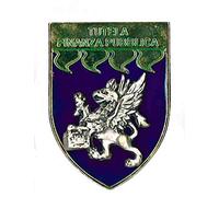 DISTINTIVO TUTELA FINANZA PUBBLICA