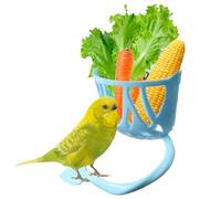 Distributeur De Nourriture Pour Cage | Mangeoire Pour Oiseaux De Compagnie,Récipient À Friandises Pour Légumes et Fruits Pour Perruche Calopsitte Et Ara
