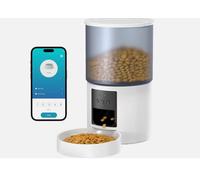 Distributore Automatico Cibo Gatti Cani Wifi: Dosatore Crocchette per Animali